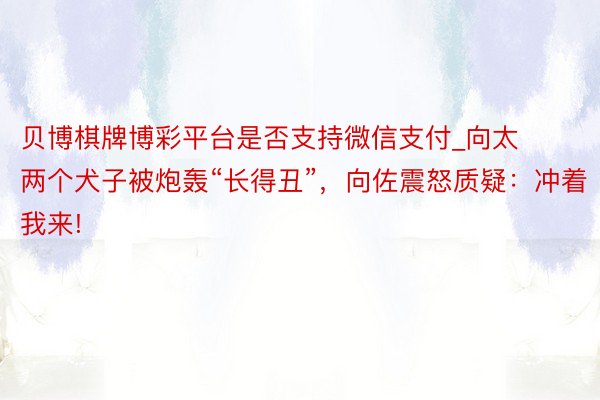 贝博棋牌博彩平台是否支持微信支付_向太两个犬子被炮轰“长得丑”，向佐震怒质疑：冲着我来!