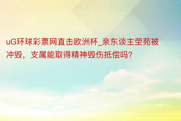 uG环球彩票网直击欧洲杯_亲东谈主茔苑被冲毁，支属能取得精神毁伤抵偿吗？