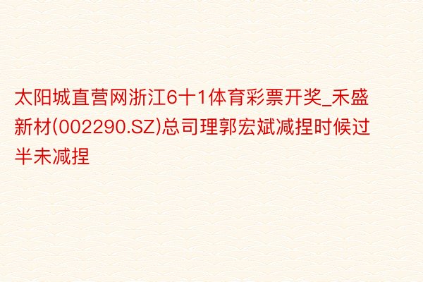 太阳城直营网浙江6十1体育彩票开奖_禾盛新材(002290.SZ)总司理郭宏斌减捏时候过半未减捏