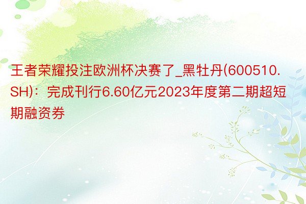 王者荣耀投注欧洲杯决赛了_黑牡丹(600510.SH)：完成刊行6.60亿元2023年度第二期超短期融资券