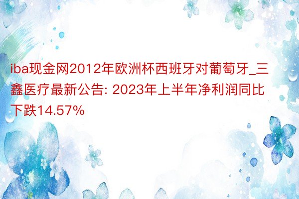 iba现金网2012年欧洲杯西班牙对葡萄牙_三鑫医疗最新公告: 2023年上半年净利润同比下跌14.57%