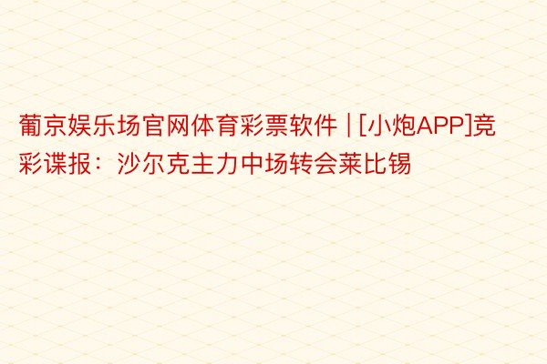 葡京娱乐场官网体育彩票软件 | [小炮APP]竞彩谍报：沙尔克主力中场转会莱比锡