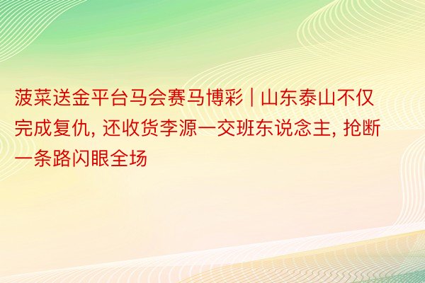 菠菜送金平台马会赛马博彩 | 山东泰山不仅完成复仇, 还收货李源一交班东说念主, 抢断一条路闪眼全场